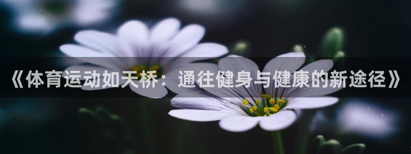 k1体育十年平台：《体育运动如天桥：通往健身与健康的新途径》