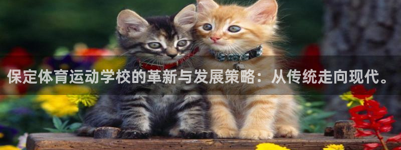 k1体育平台3915：保定体育运动学校的革新与发展策略：从传统走向现代。