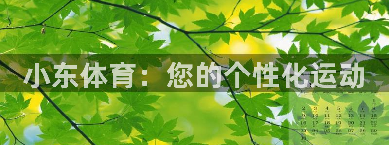 k1体育app官网登录入口：小东体育：您的个性化运动