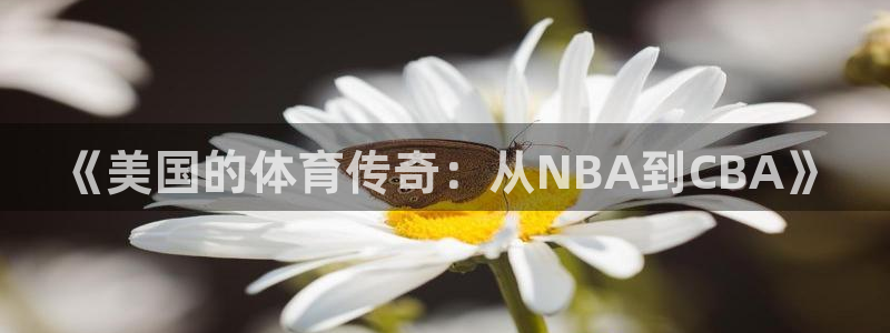 k1体育平台最新网站下载：《美国的体育传奇：从NBA到CBA》