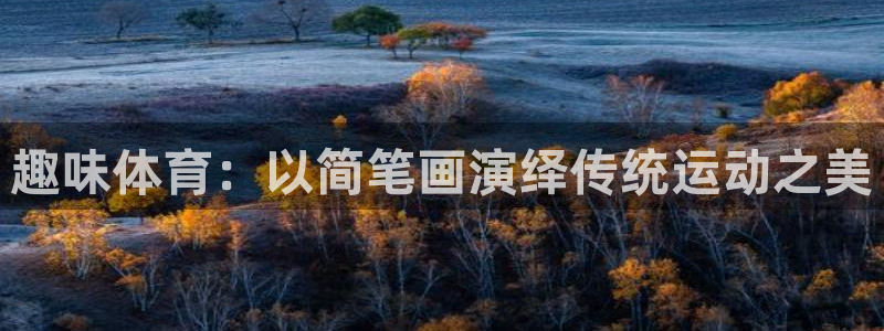 帮k1体育在线登录：趣味体育：以简笔画演绎传统运动之美