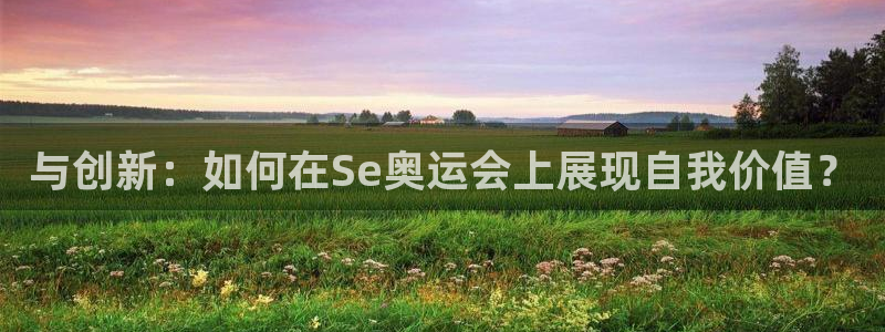 k1体育链接：与创新：如何在Se奥运会上展现自我价值？