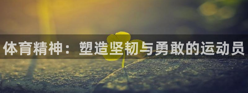 k1体育app：体育精神：塑造坚韧与勇敢的运动员